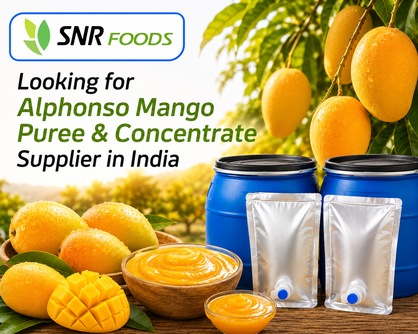 Alphonso Mango Puree & Concentrate Supplier in India: SNR Foods Pvt. Ltd.