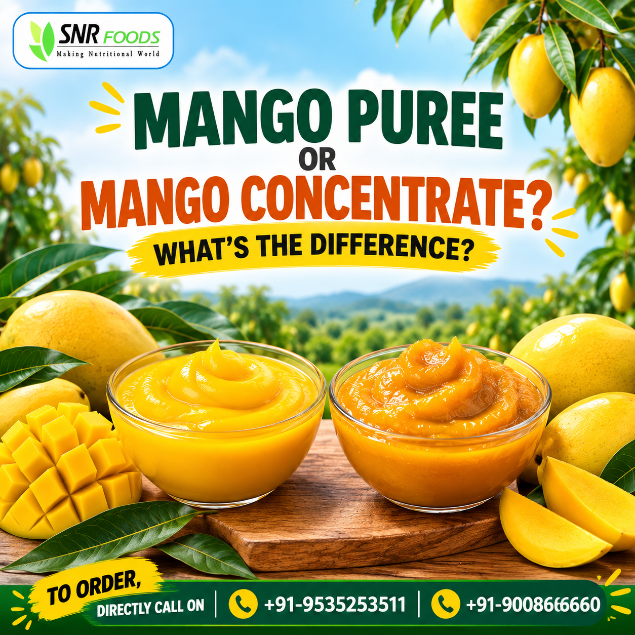 Mango Puree vs. Mango Concentrate: Understanding the Key Differences