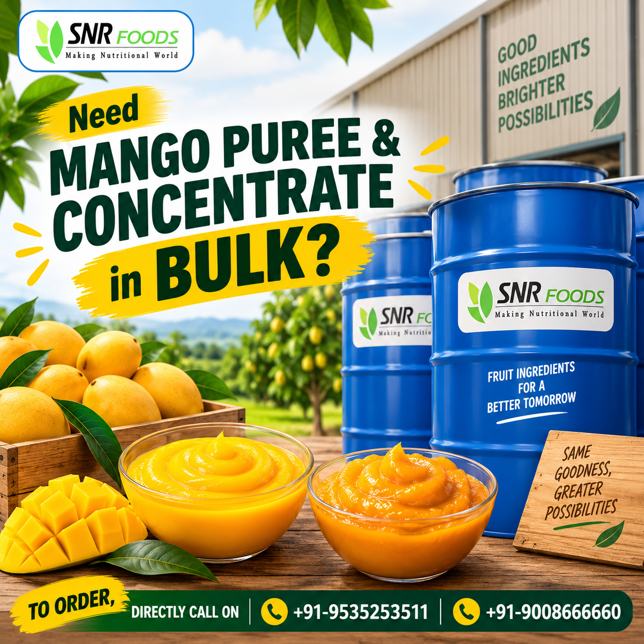 Need Mango Concentrate in Bulk??