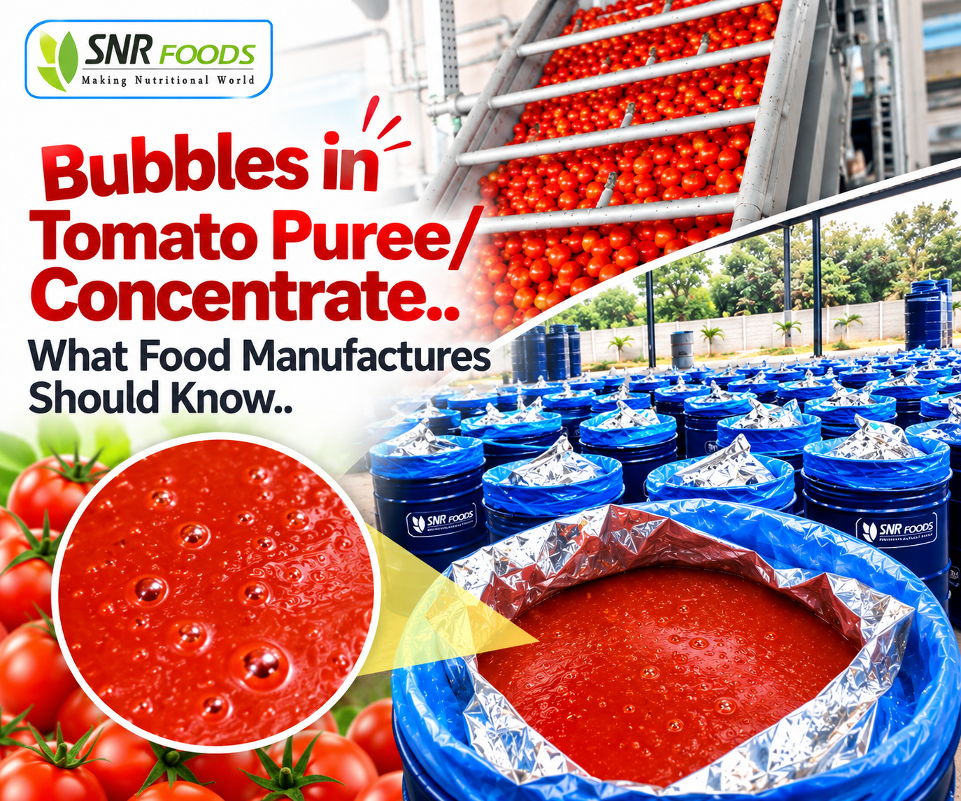 Bubbles in Tomato Puree or Concentrate: What Food Manufacturers Should Know