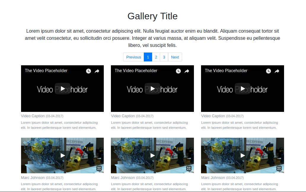video gallery