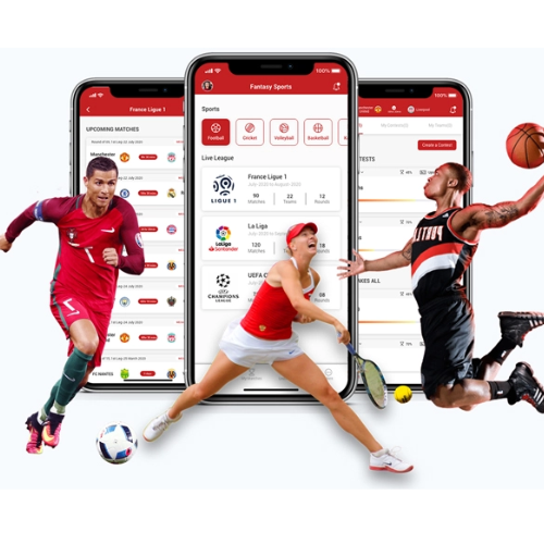 Fantasy soccer App development company providing custom solutions for fantasy sports platforms, enhancing user experience with real-time data integration and advanced features for seamless gameplay.