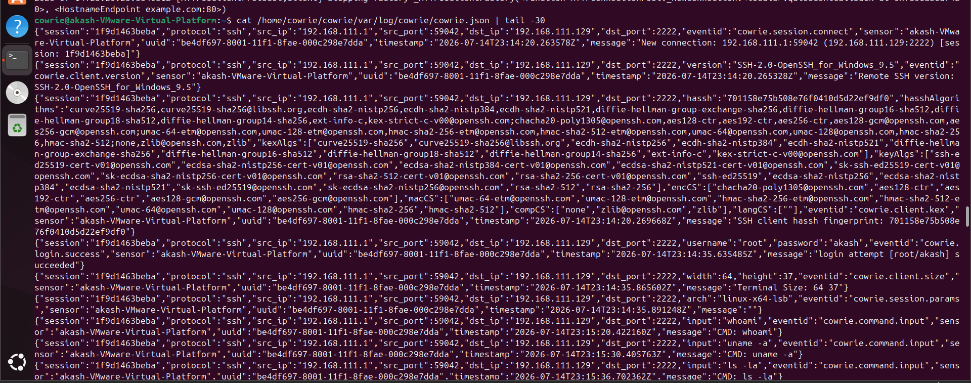 JSON 日志示例