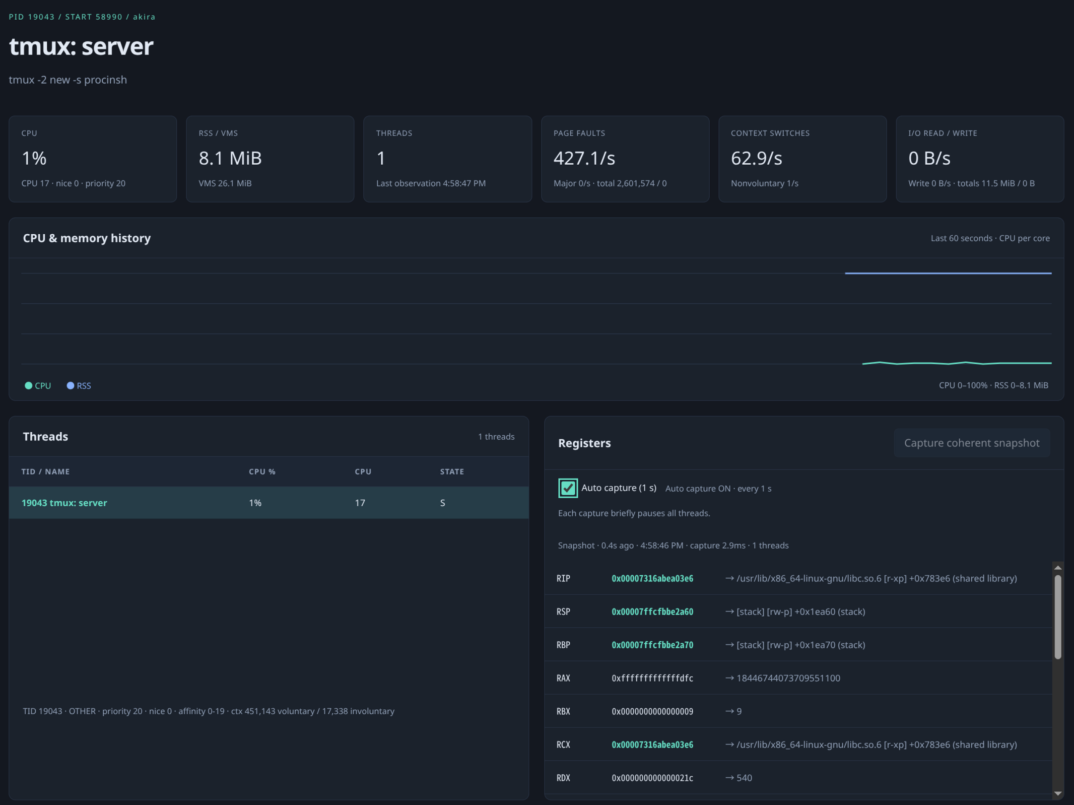 Screenshot of process details