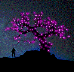 Luces