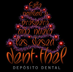 Crismas2009