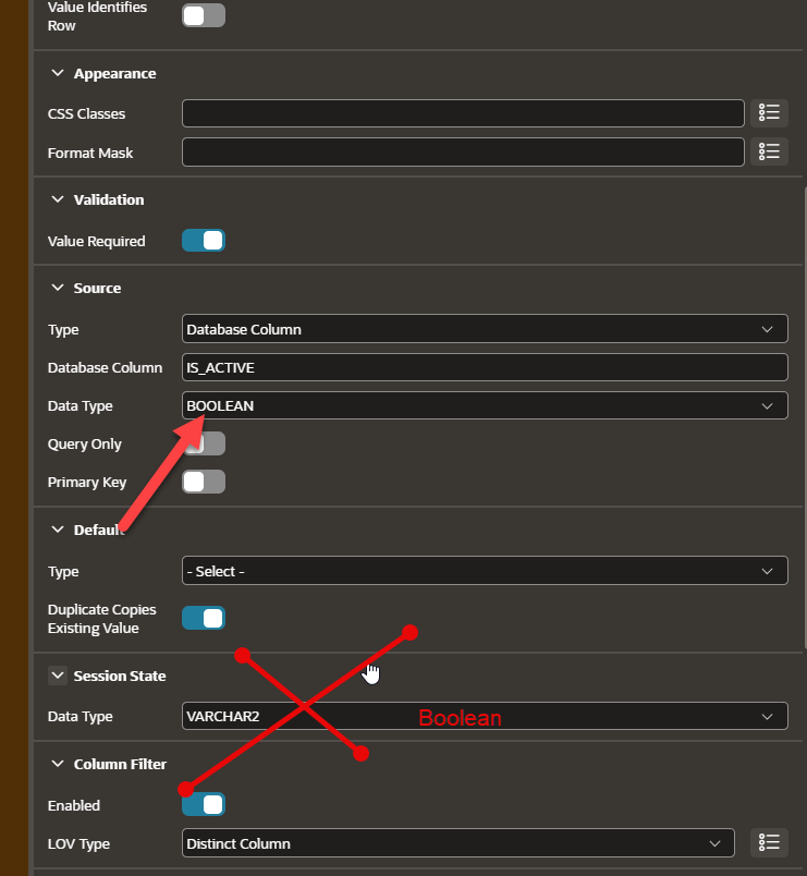 APEX Page Designer showing Boolean Source and Session State data types