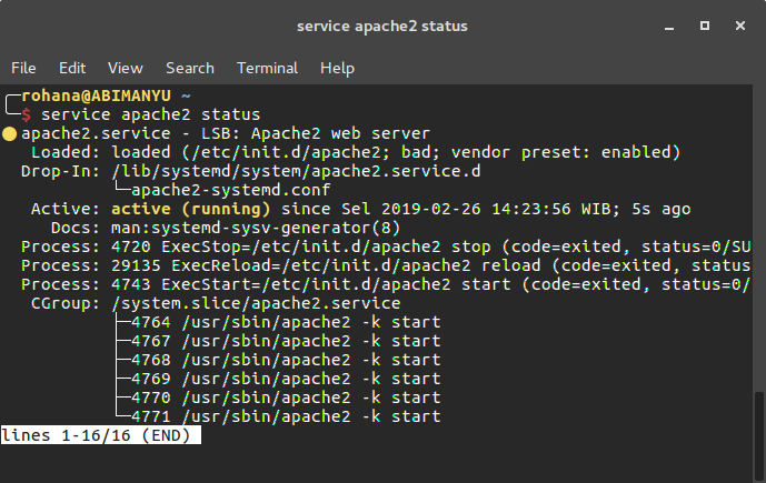 apache-status