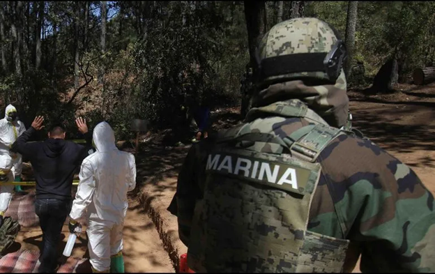 Elemento de la Marina detiene a personas con las manos levantadas durante un operativo en zona boscosa