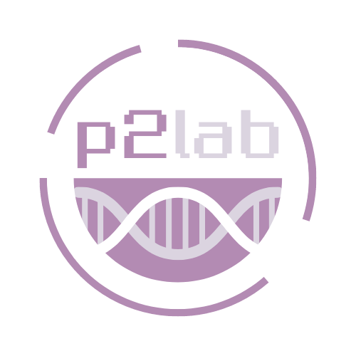 p2lab logo