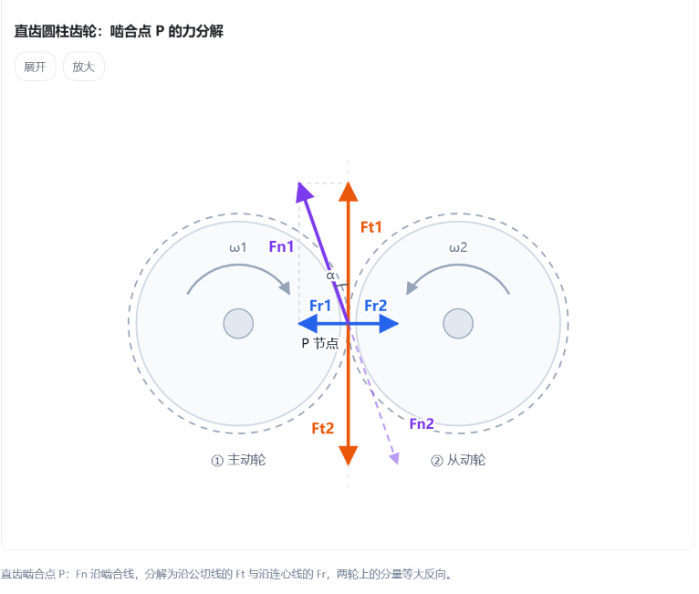 直齿圆柱齿轮：啮合点 P 的力分解