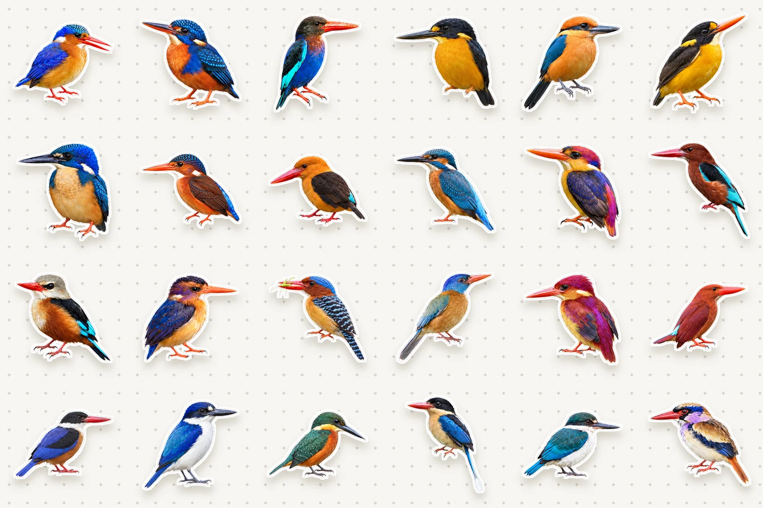 Kingfishers