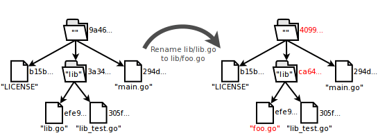 "The index contents before and after lib/lib.go is renamed to lib/foo.go