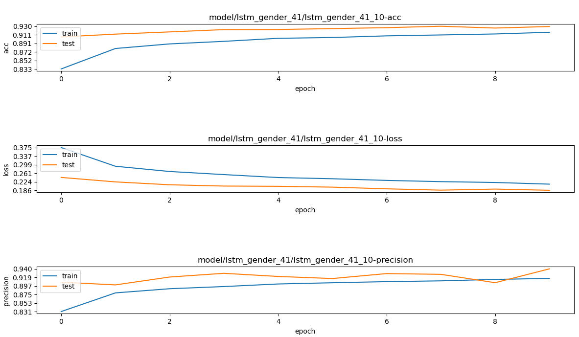 lstm_gender_41_performance