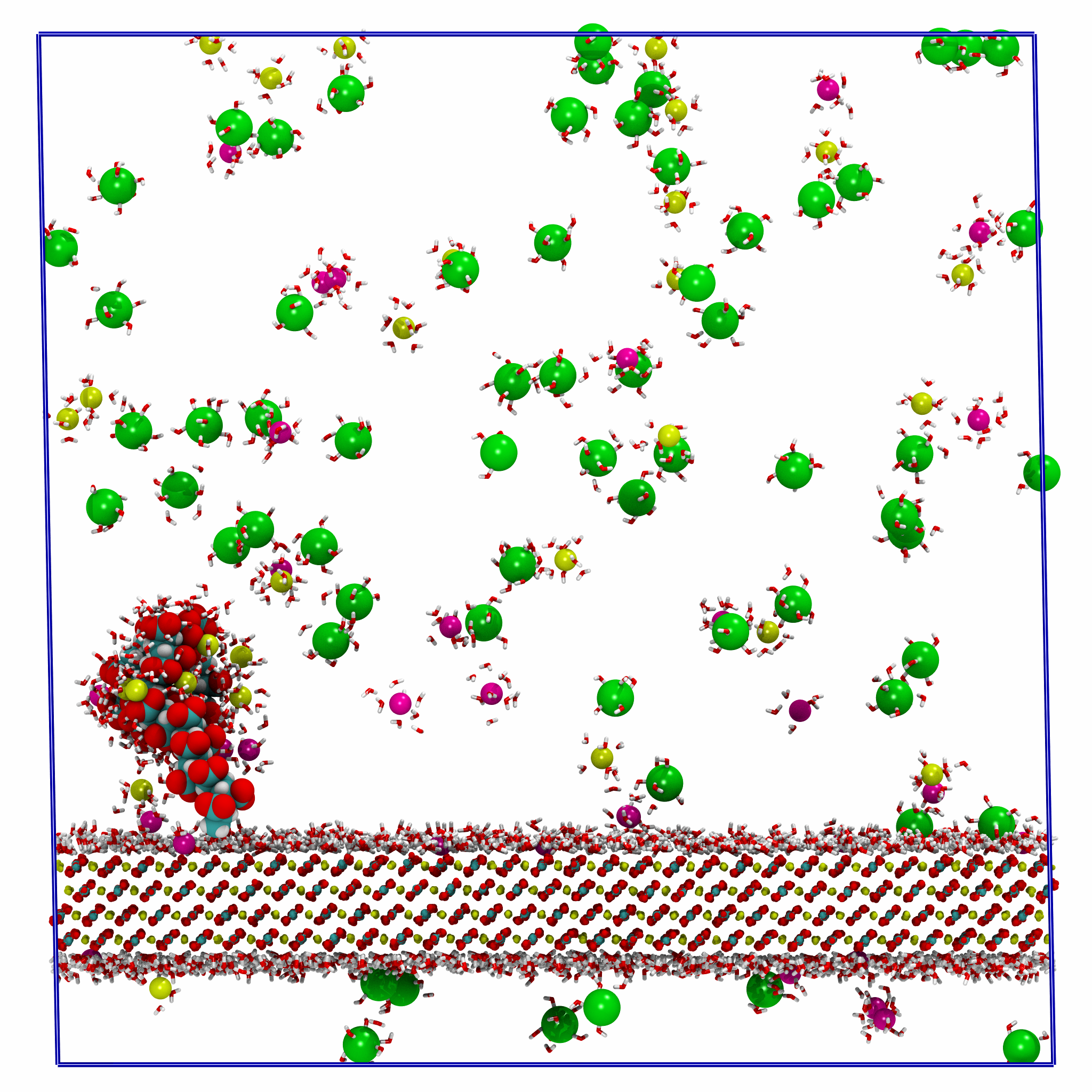 Polyelectrolyte simulation snapshot