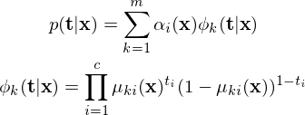 MBM_equations