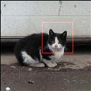 Located cat face