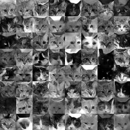 64 grayscale images rated as good 64 grayscale images rated as good