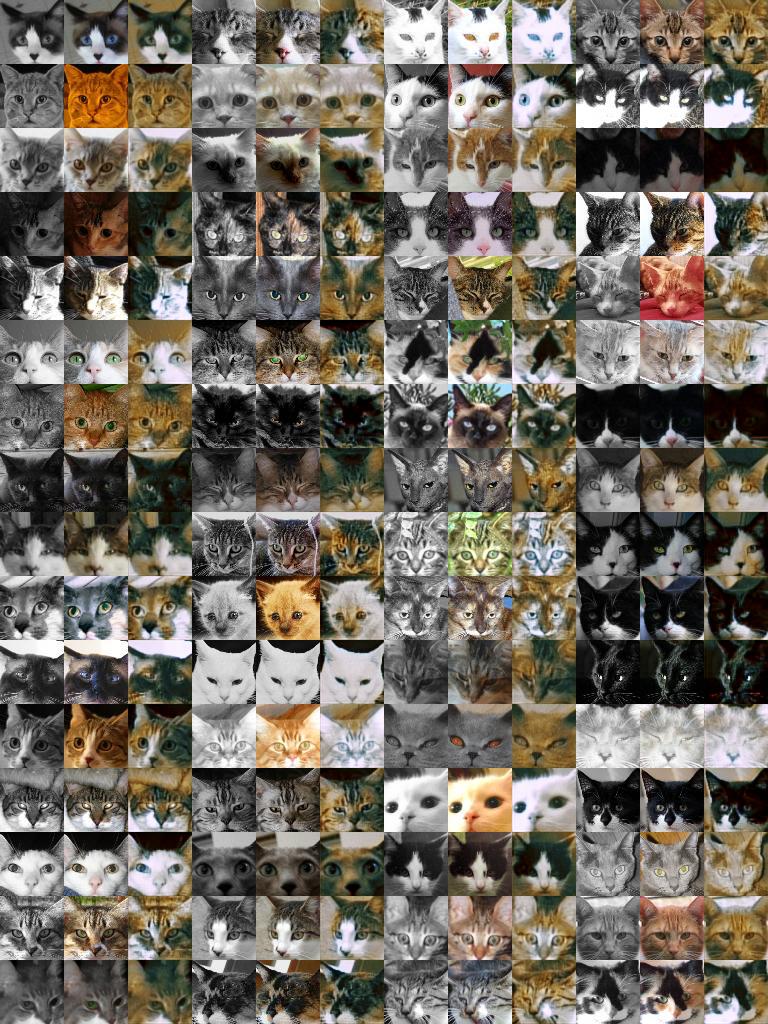 Cat faces, training set and images colored by G