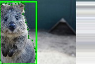 crop and pad augmentations, applied to bounding boxes