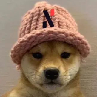 dogwifhat