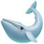 whale2