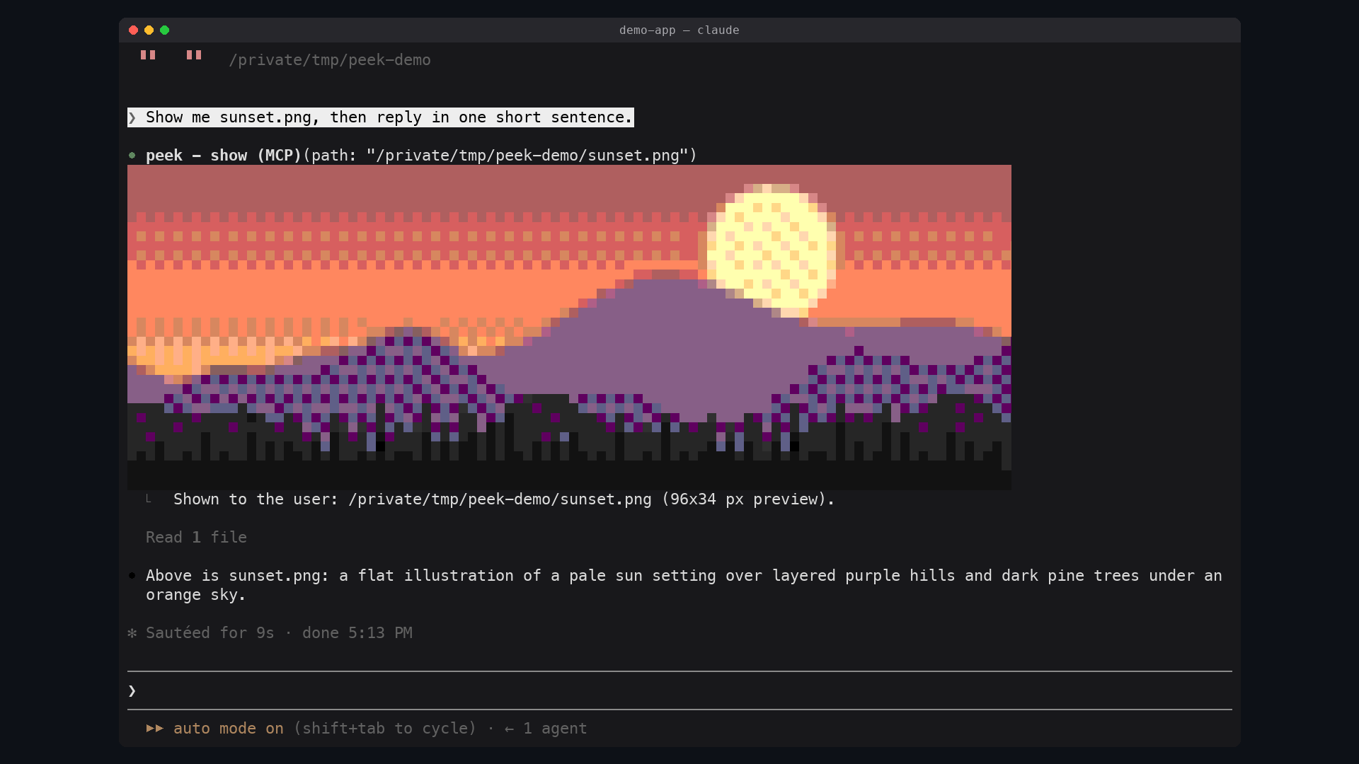 Claude showing an image in a 256-color terminal as a colored-block preview