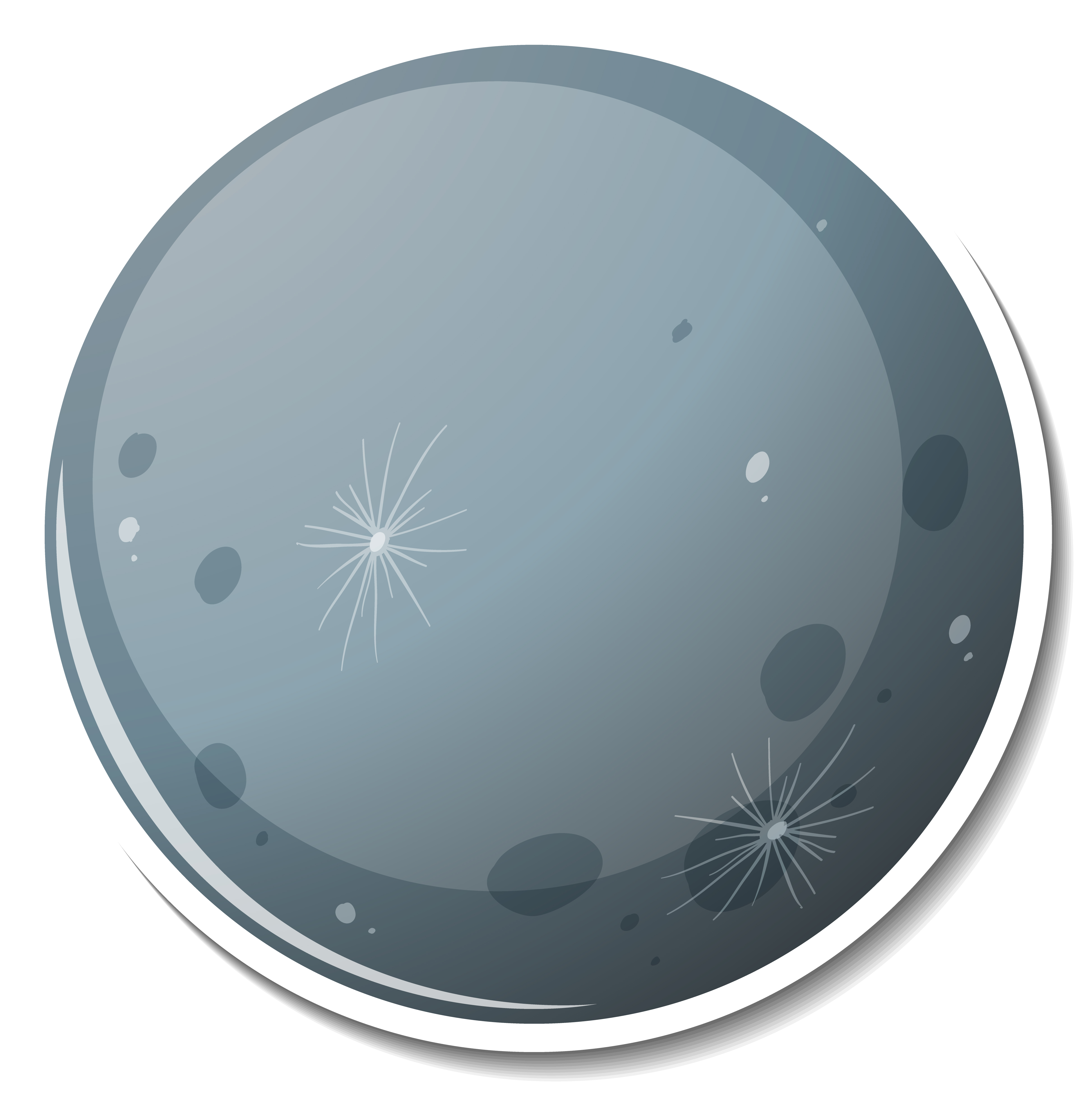Mr Moon bot avatar