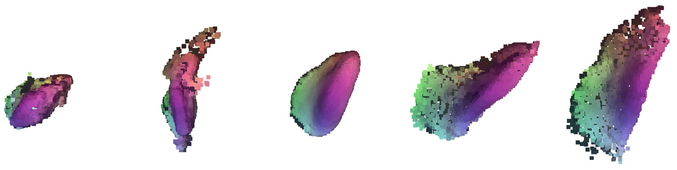 Eigenshapes and Meanshape of the obtained SSM