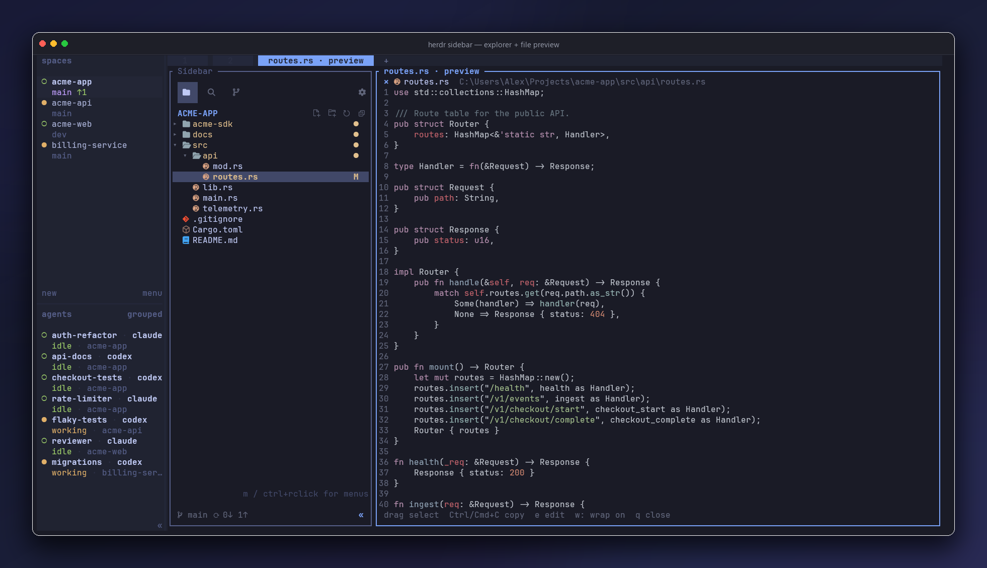 Explorer and file preview