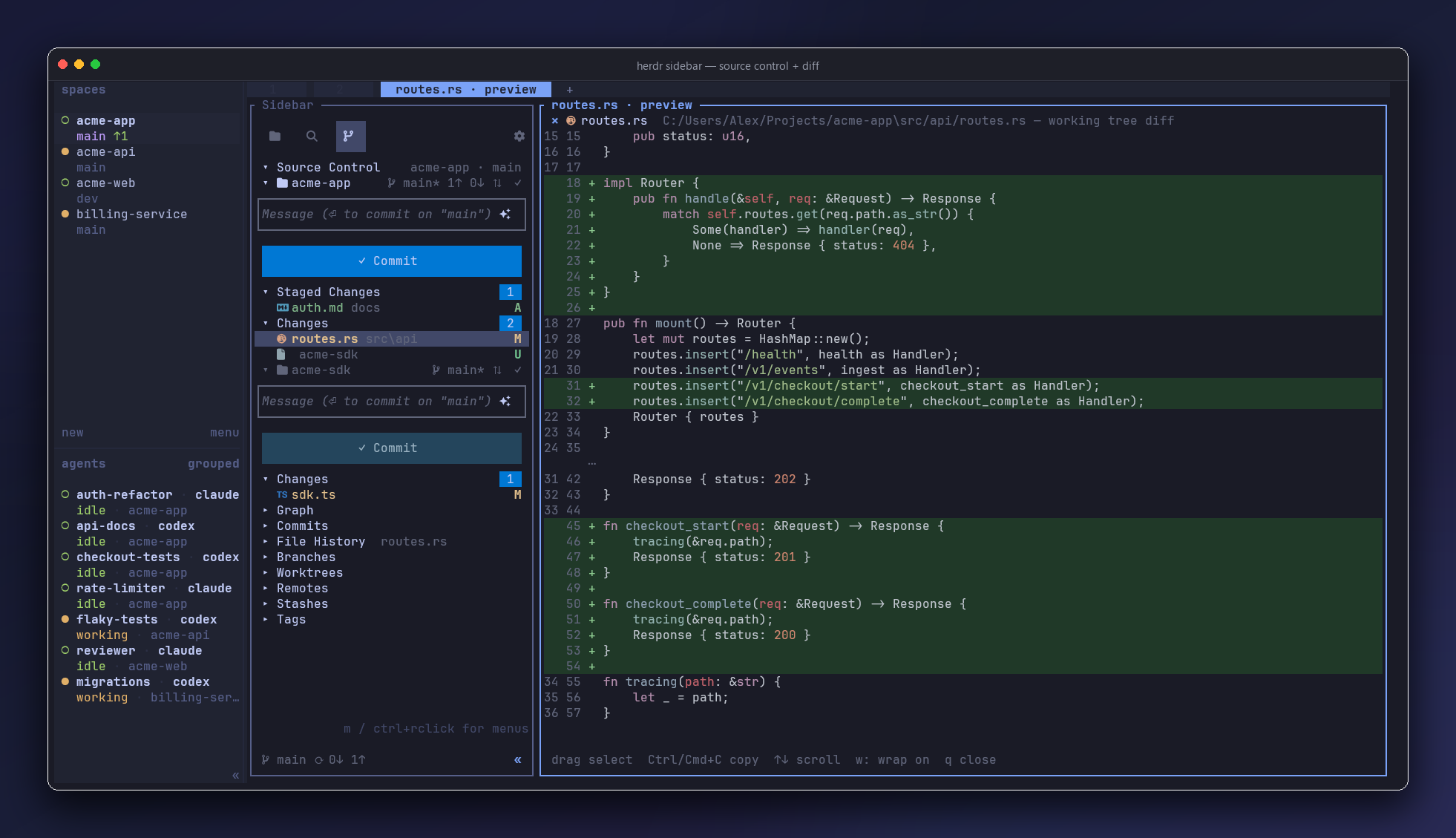 Source Control view