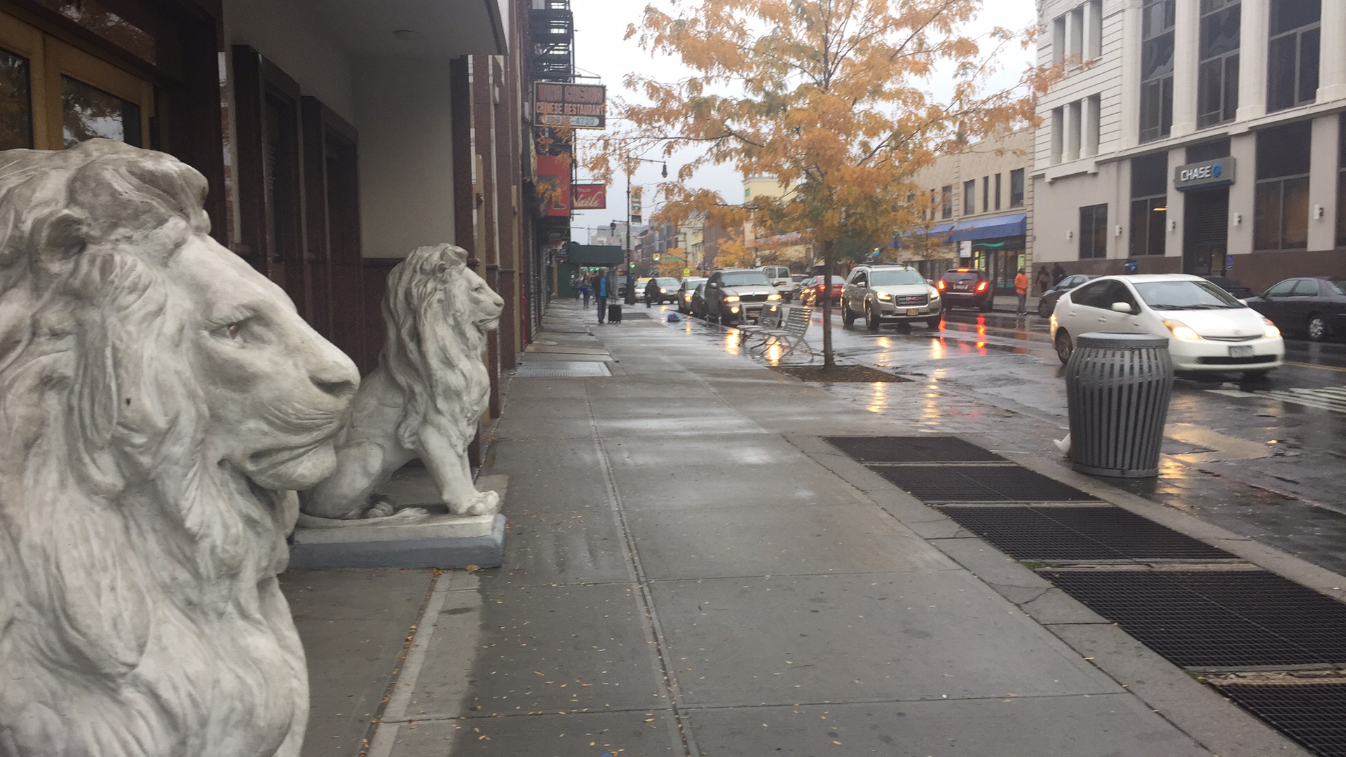 Brooklyn lions in the rain