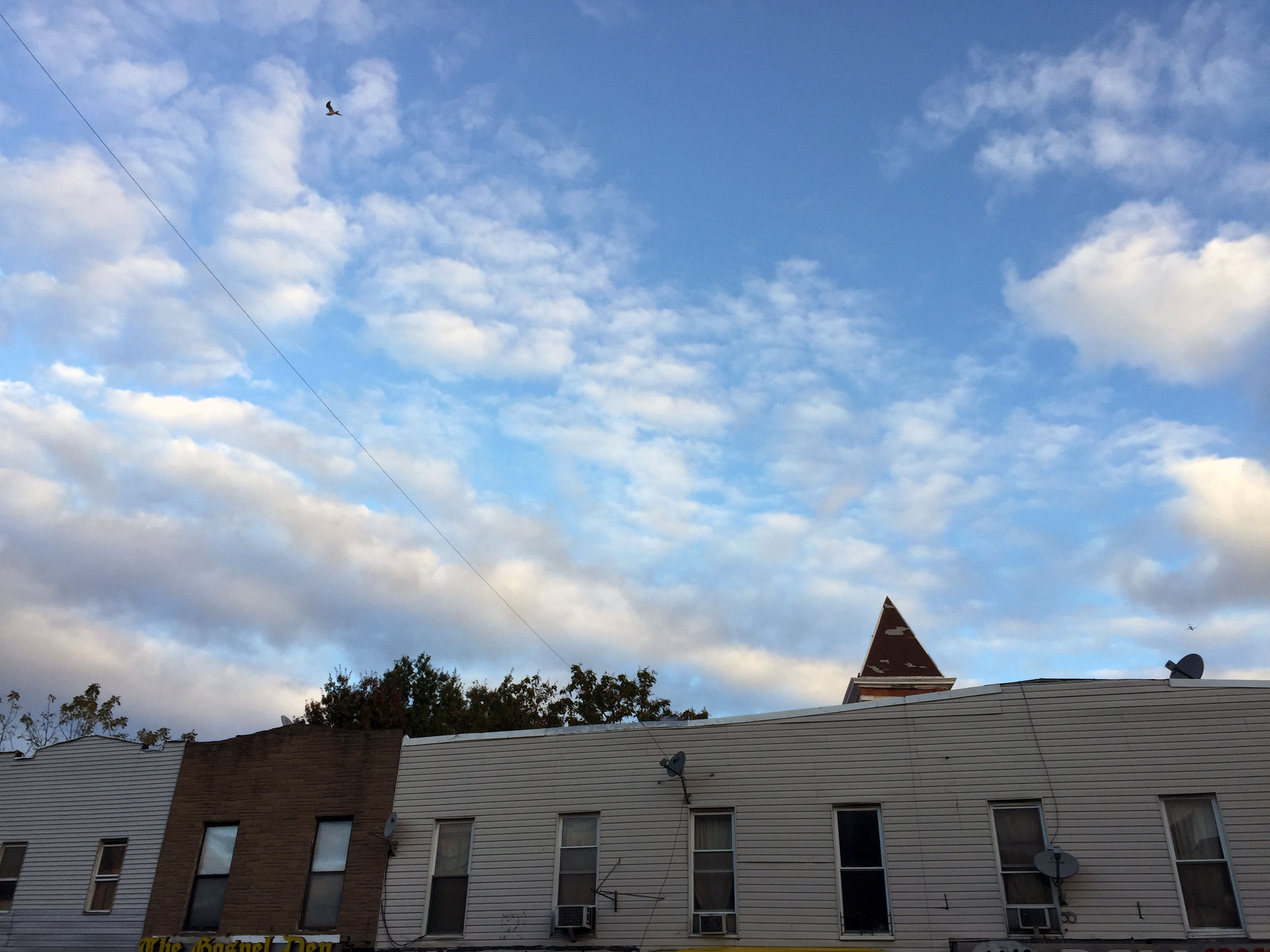 Brooklyn sky