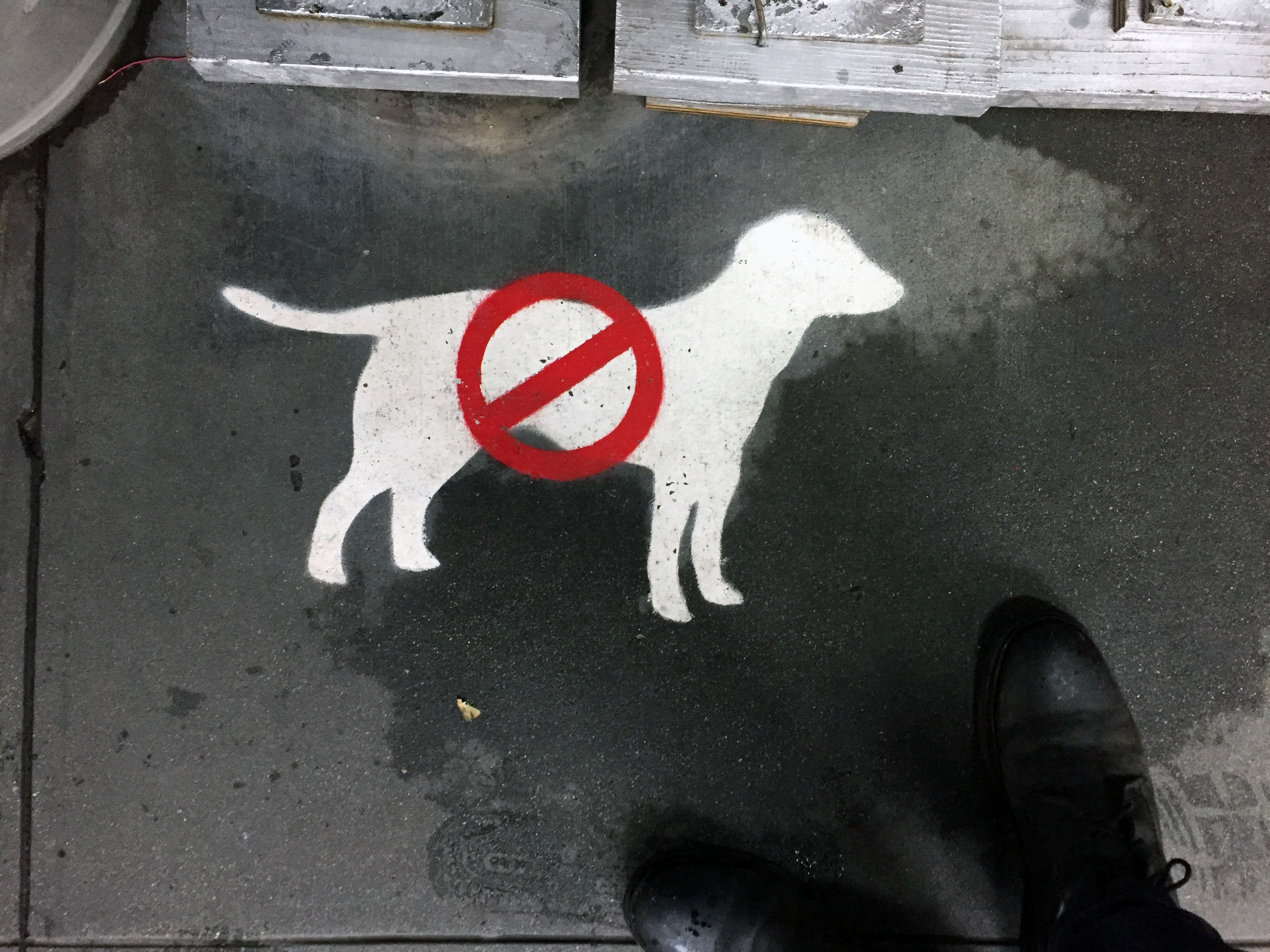 No dogs