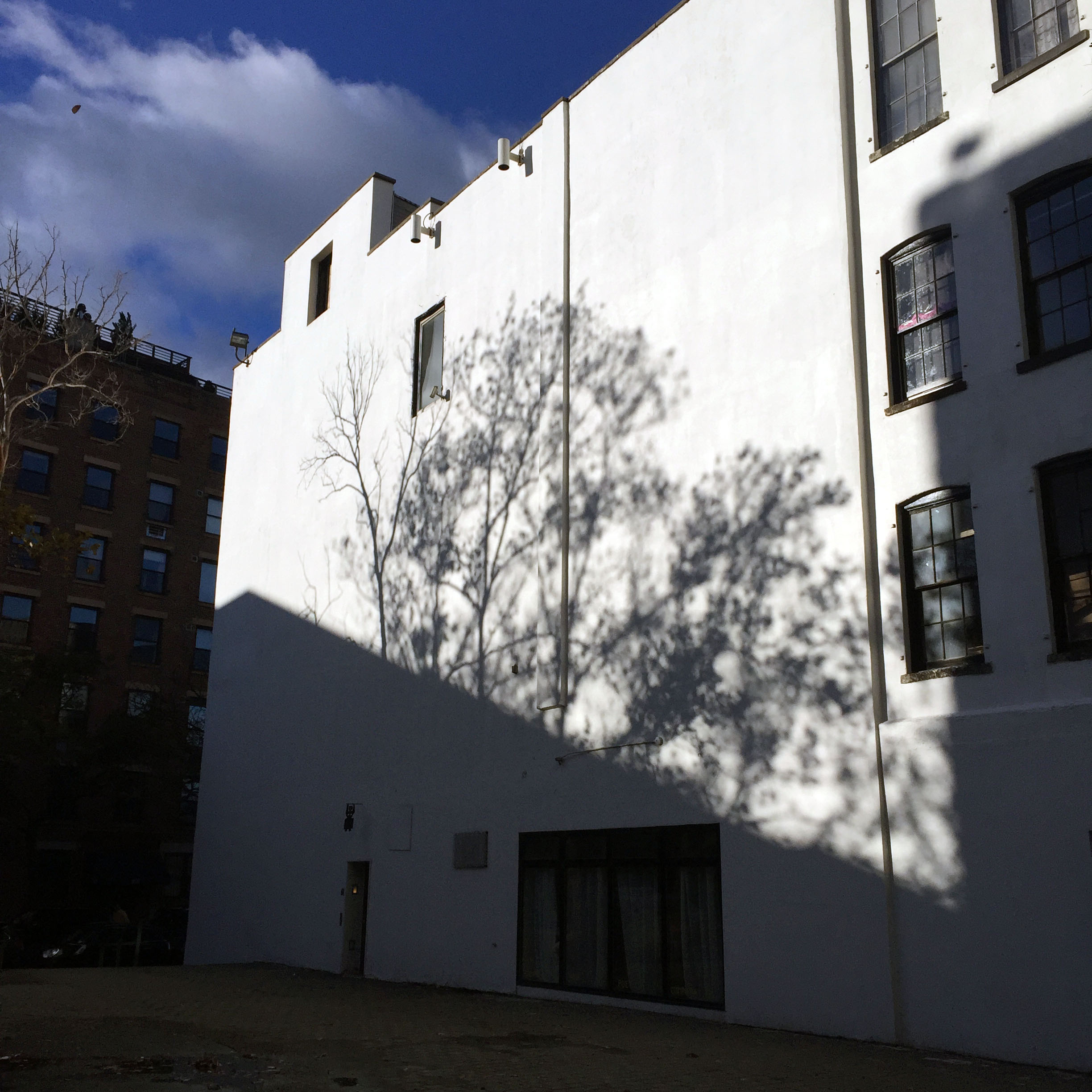 Tree shadows on SFPC building