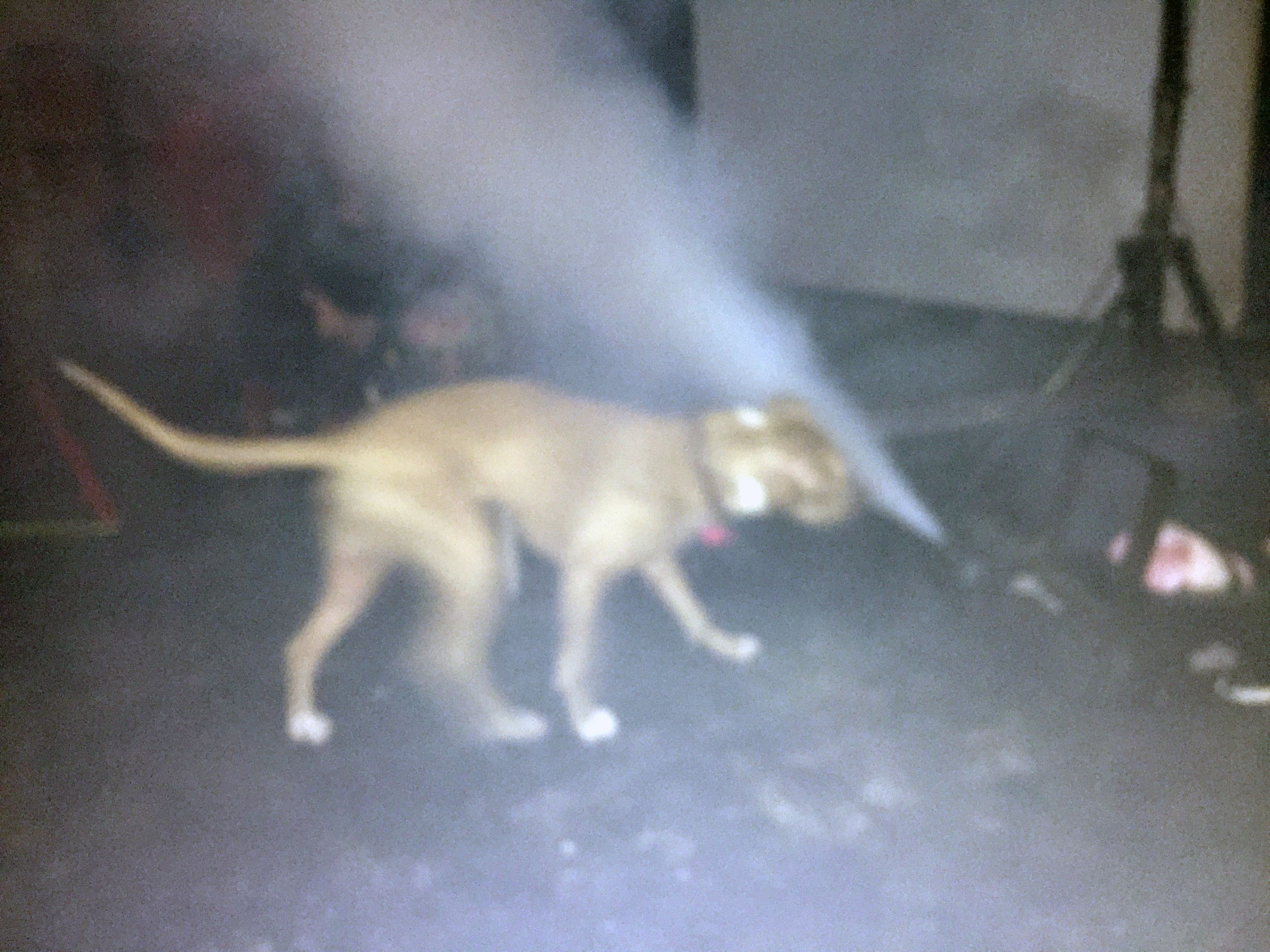 Dog fighting smoke machine