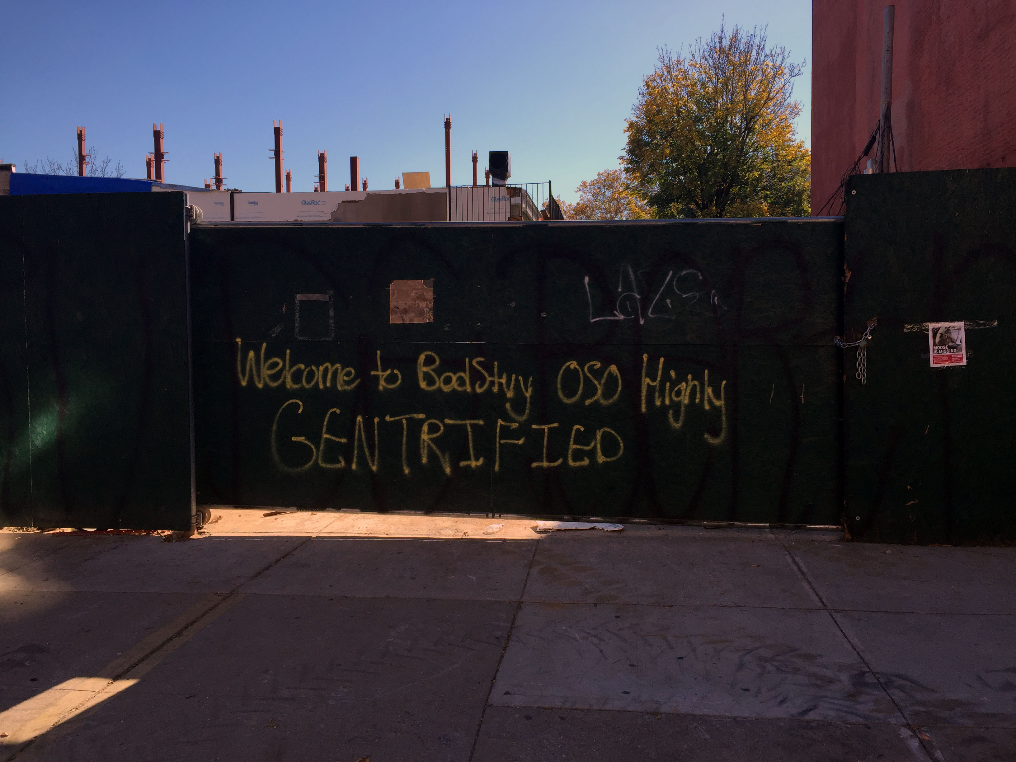 Gentrifying Bed Stuy