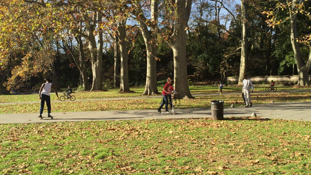 Skaters in the park