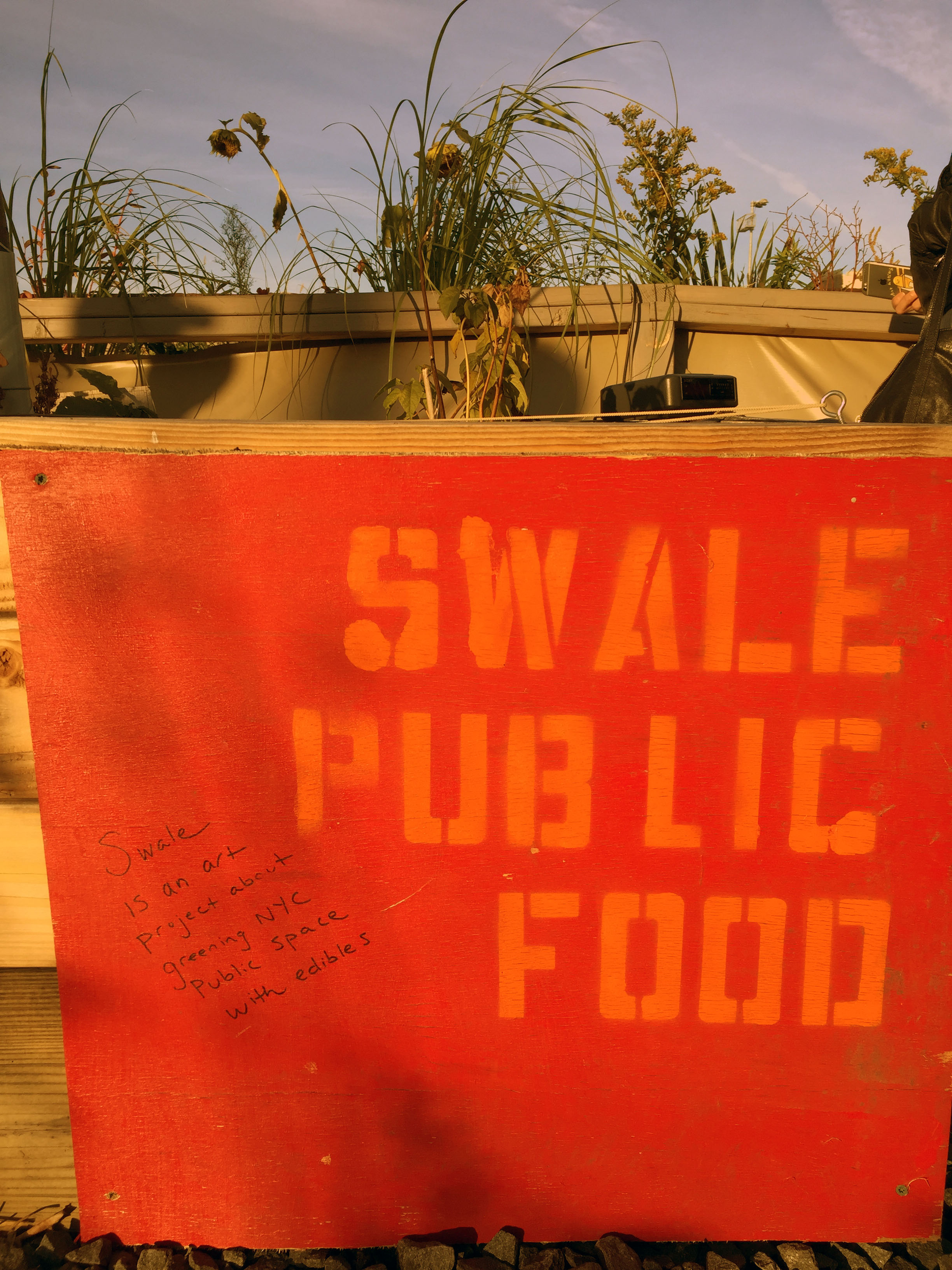 Swale