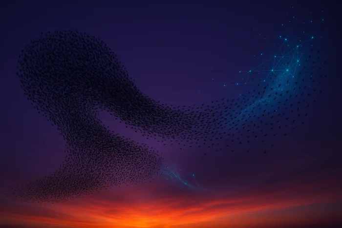 Murmuration — from nature's coordinated flight to AI agent communication