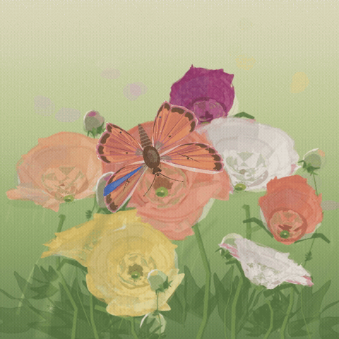 A clockwork butterfly comes to life in watercolour and flits between ranunculus