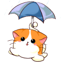 Raincat