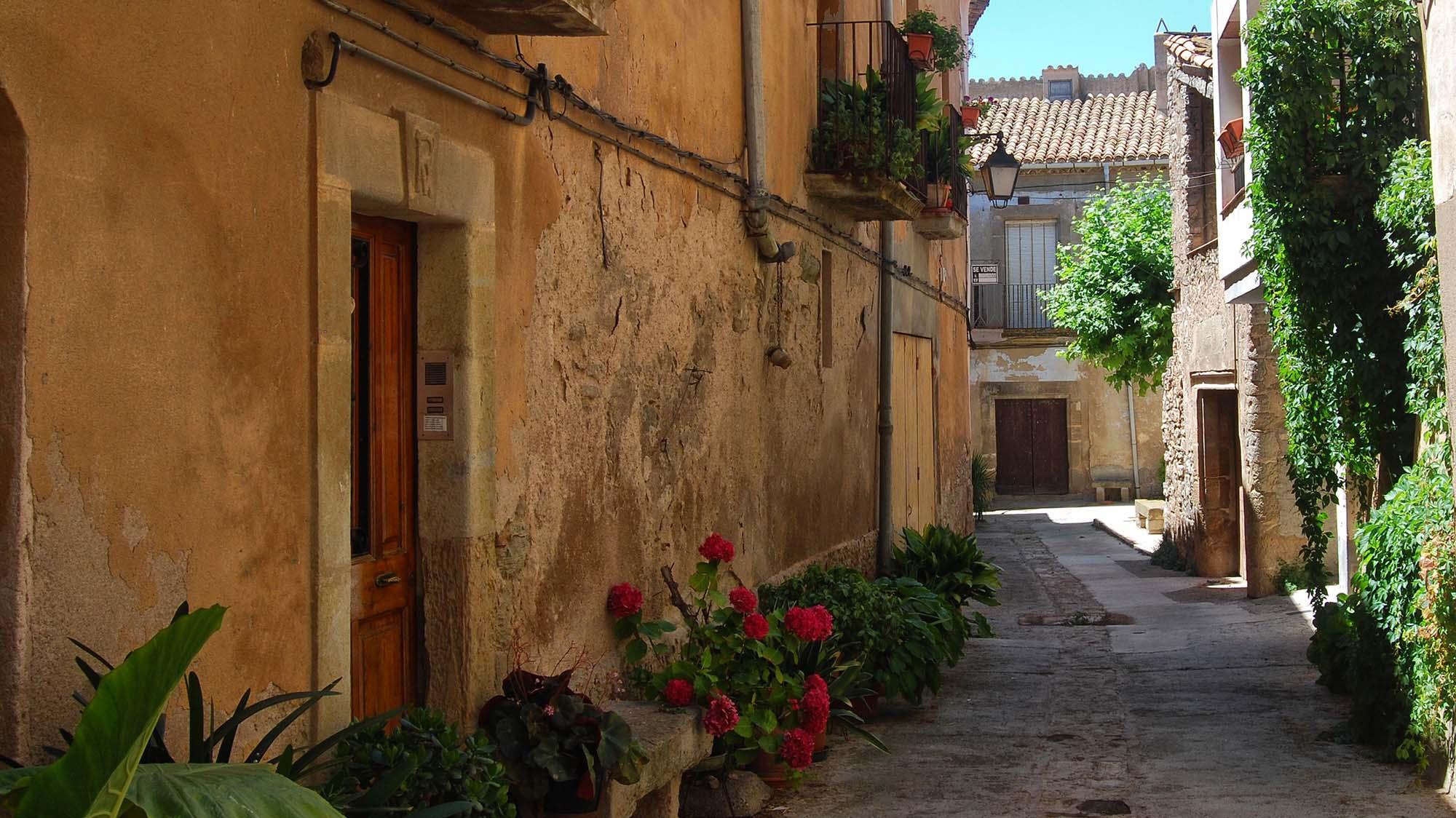 Tarroja de Segarra