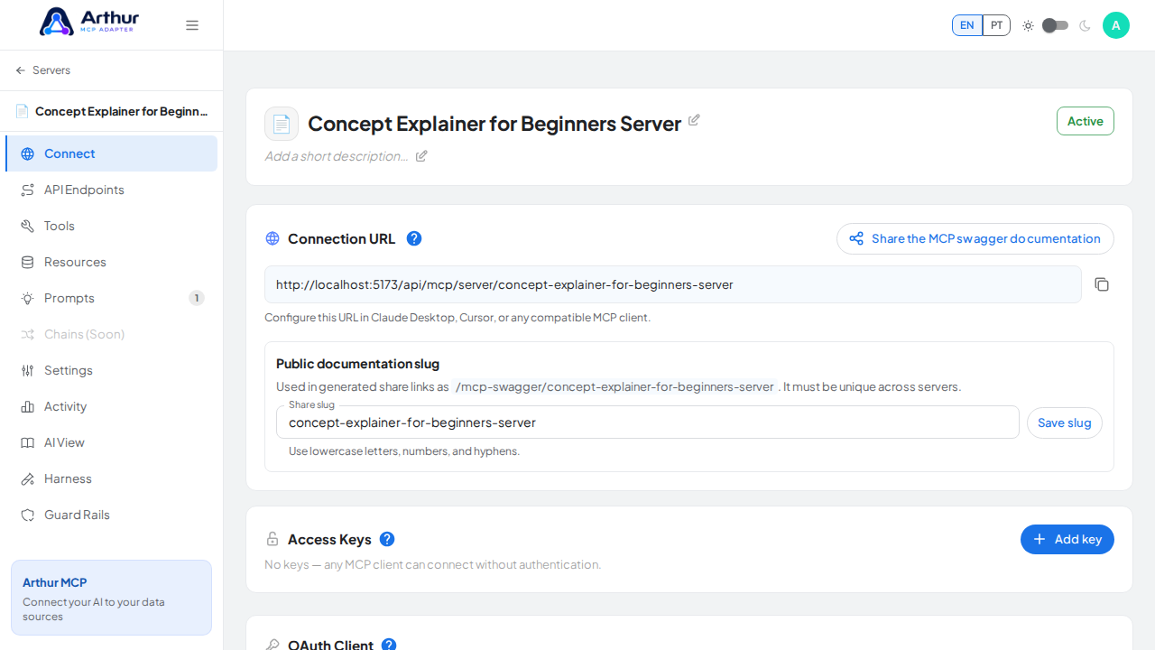 Open the server's Connect section, where the MCP endpoint and its documentation live