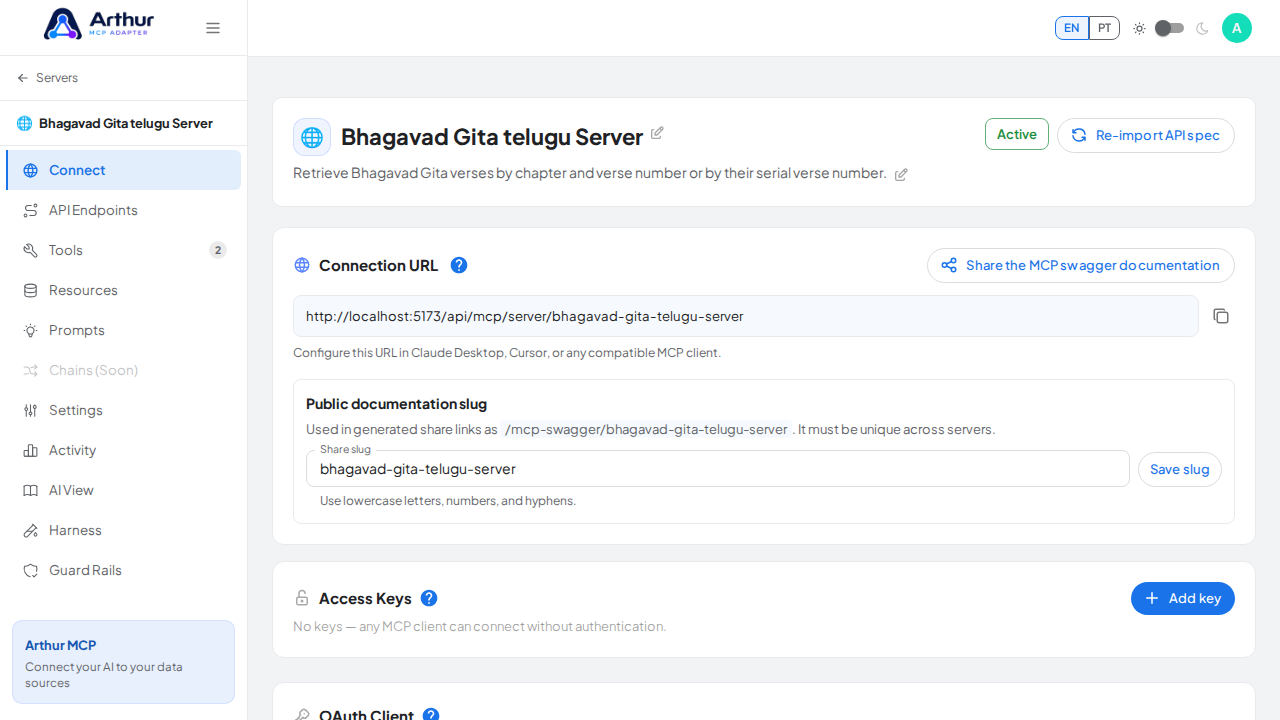Open the server's Connect section, where the MCP endpoint and its documentation live