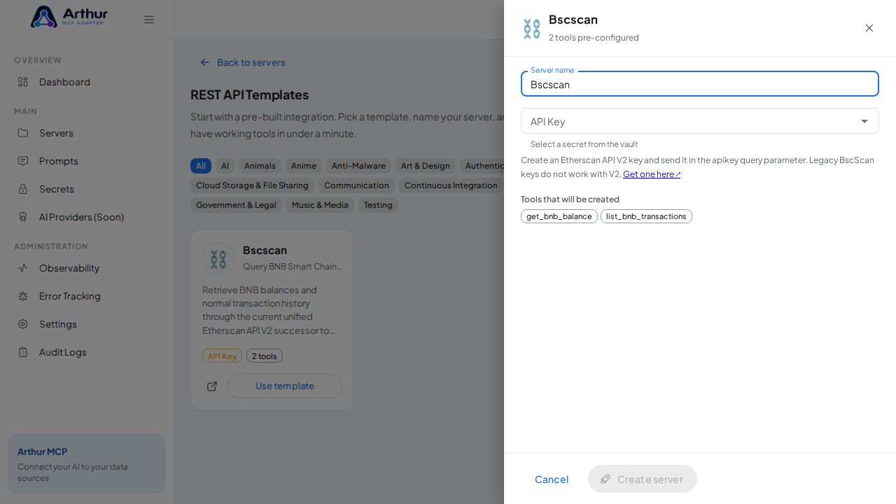 Open the Bscscan template with its preconfigured tools