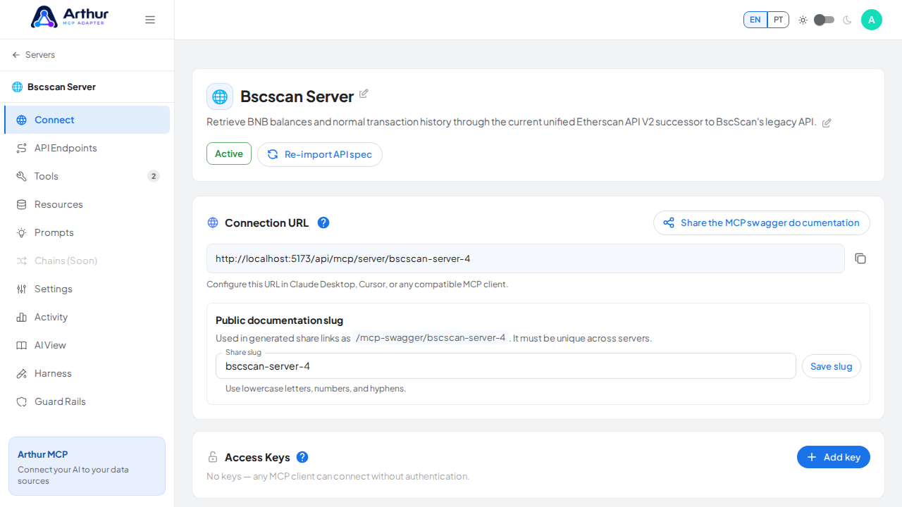 Open the server's Connect section, where the MCP endpoint and its documentation live