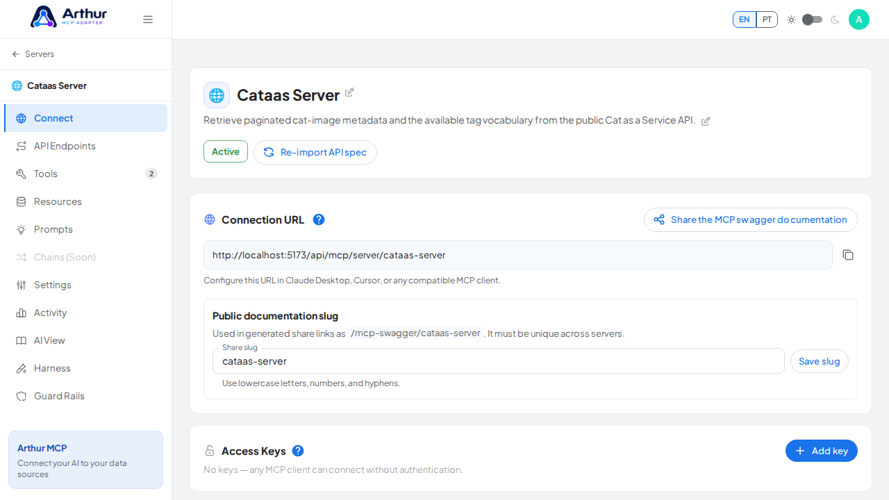 Open the server's Connect section, where the MCP endpoint and its documentation live