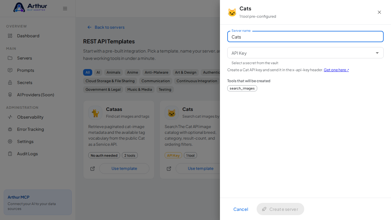 Open the Cats template with its preconfigured tools