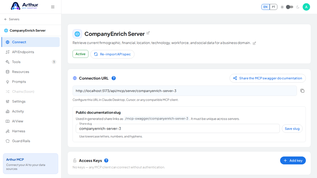 Open the server's Connect section, where the MCP endpoint and its documentation live